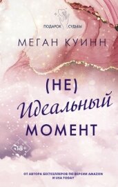 (Не)идеальный момент